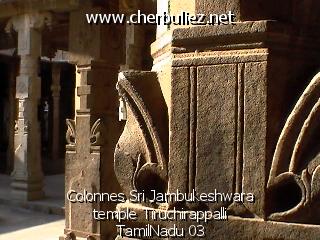 légende: Colonnes Sri Jambukeshwara temple Tiruchirappalli TamilNadu 03
qualityCode=raw
sizeCode=half

Données de l'image originale:
Taille originale: 118034 bytes
Heure de prise de vue: 2002:03:07 12:43:14
Largeur: 640
Hauteur: 480
